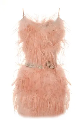 1920s Marabou and Ostrich Feather Mini Dress