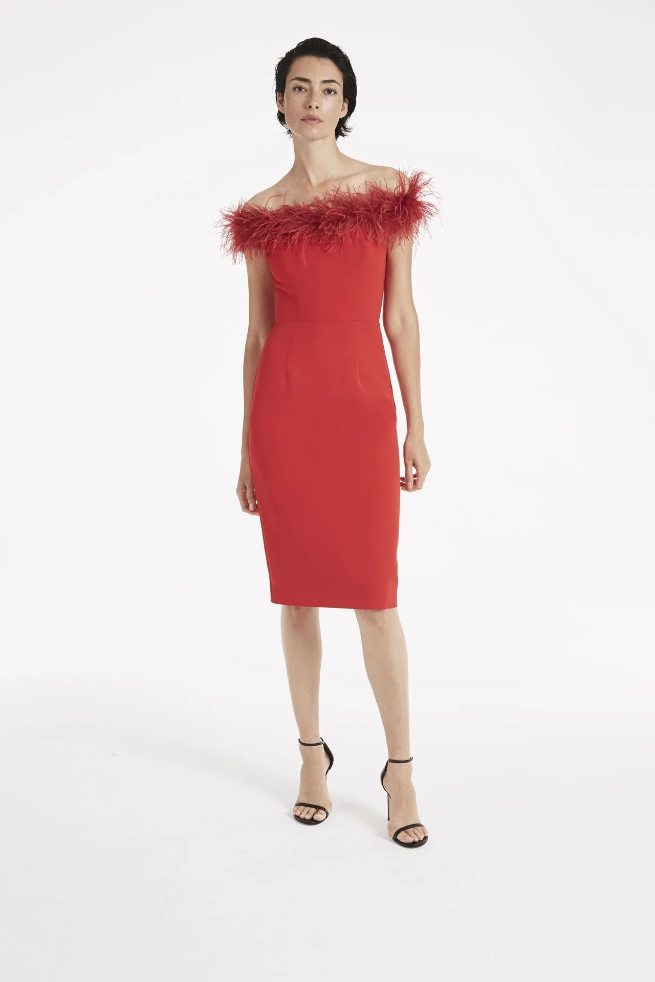 Cady Feather Bodice Dress