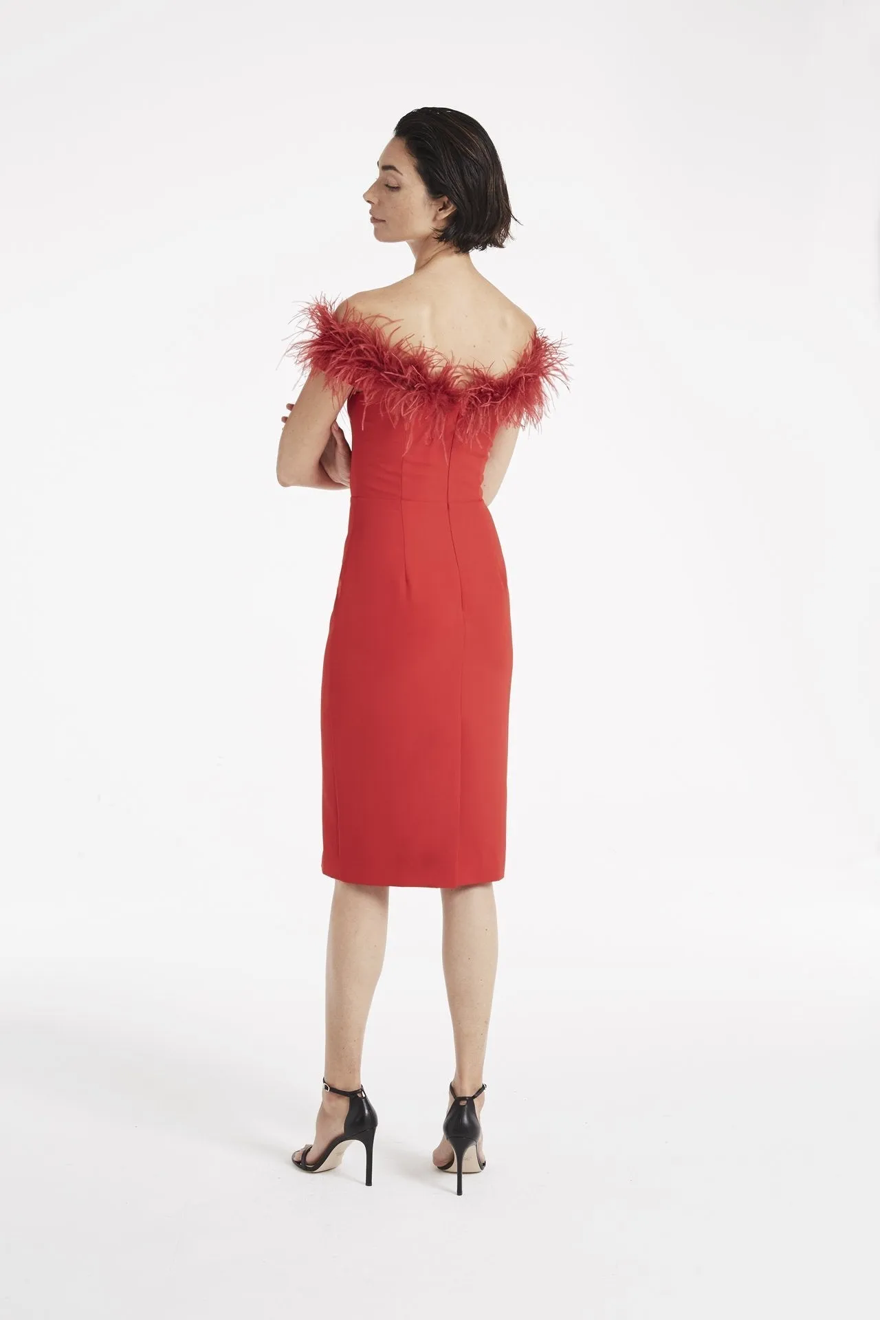 Cady Feather Bodice Dress