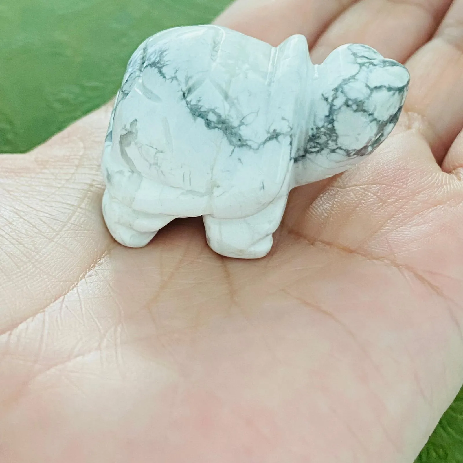 Howlite Tortoise