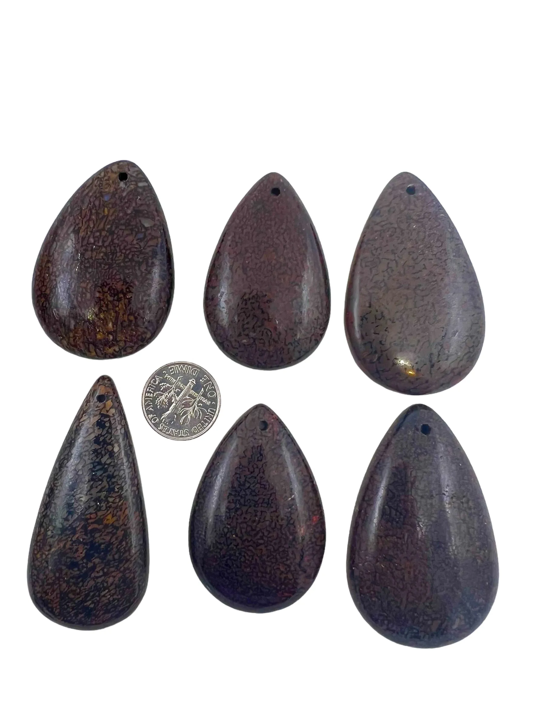 Utah Dinosaur Teardrop Shaped Focal Pendant Beads, (Select One Stone)