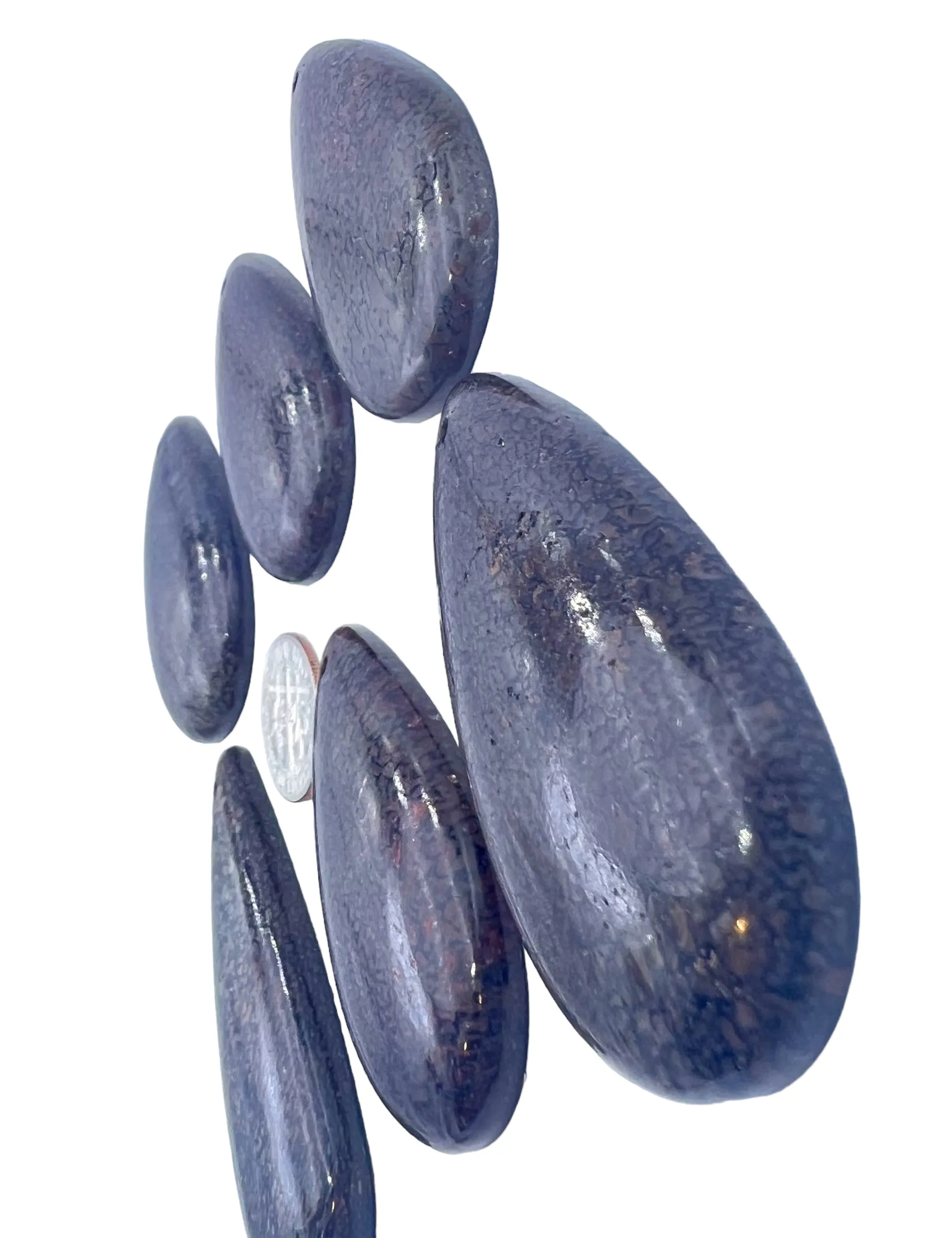 Utah Dinosaur Teardrop Shaped Focal Pendant Beads, (Select One Stone)